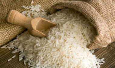 Tak Kan Lari Rezeki Dicari