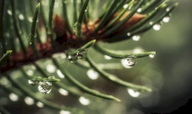 Sebab Seorang Tidak Memiliki Adab Yang Baik