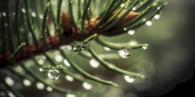 Sebab Seorang Tidak Memiliki Adab Yang Baik